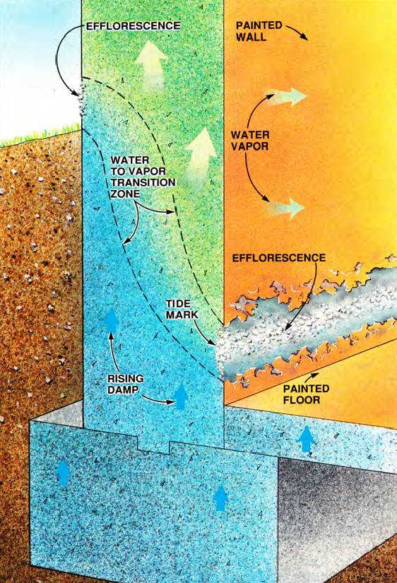 Efforescence is the tide mark of moisture crystals in your wall