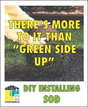 Here's how any person, regardless of experience, can have 'instant lawn' or redo parts of their garden.