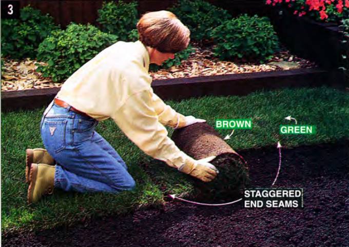 Start layering the sod, brown side down, watching out to stagger the end seams