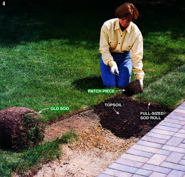 If you need to patch places, cut sod with a utility knife