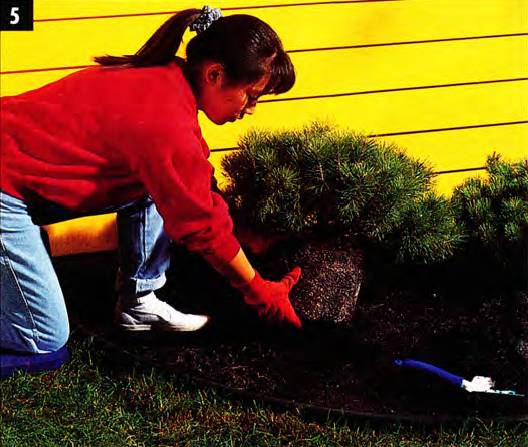 Picture of woman preparing the planting bed