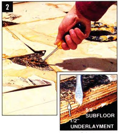 Use a screwdriver to probe for soft spots in the wood and find the extent of the damage