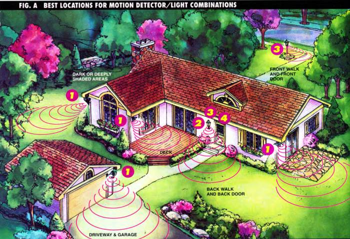 The best locations for combining a motion detector and a light are the deck, garage and driveway, dark or deeply shaded areas in your garden, your back walk and back yard, and the front walk and front door