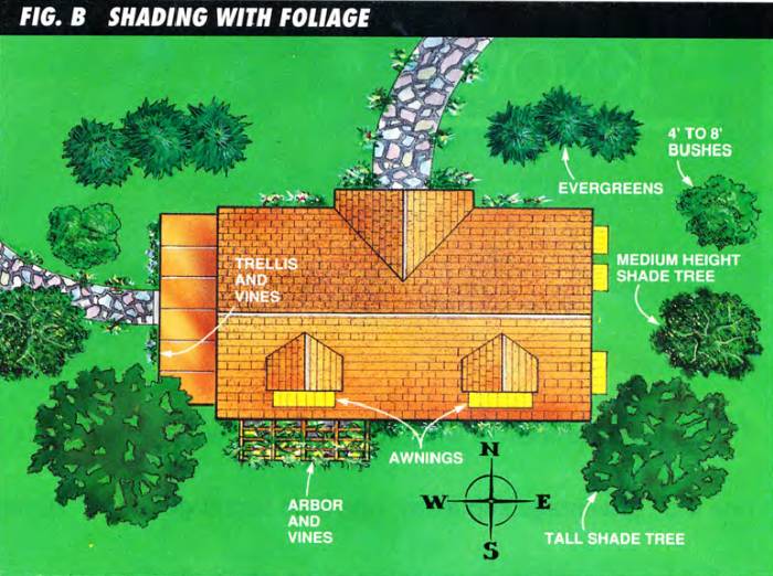 Use arbor and vines on the south, trellis and vines on the west side, awnings on south and east sides, evergreens on the north, tall shade trees on southeast and southwest corners, and 4- to 8-feet tall bushes on northeast and northwest corners.