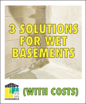 Wet basements are frustrating and messy. Sometimes the problems can be fixed by yourself on the cheap; others, you're better off calling a pro. Learn the difference here.