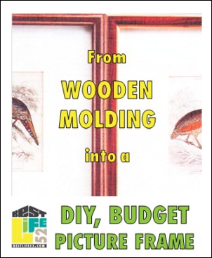 Simple, cheap, and fast DIY project for beginners. Limited tools!